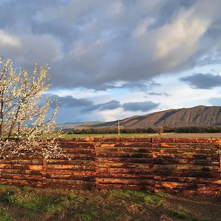 La Cigaliere Montfort (Alpes-de-Haute-Provence)